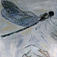 Two Hands and Dragonfly