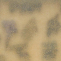 Landscape Box - Alphabet