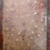 Landscape Box - Small Shells